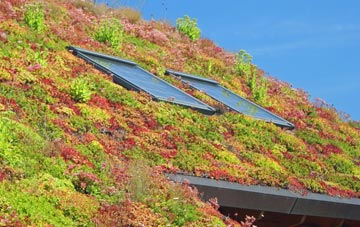 Structons Heath living roof systems
