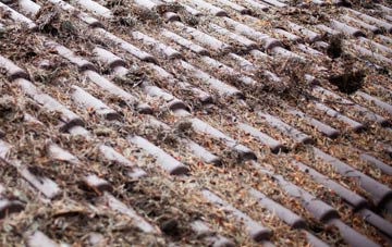 Structons Heath roof cleaning companies