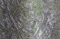 Structons Heath fibreglass roof work